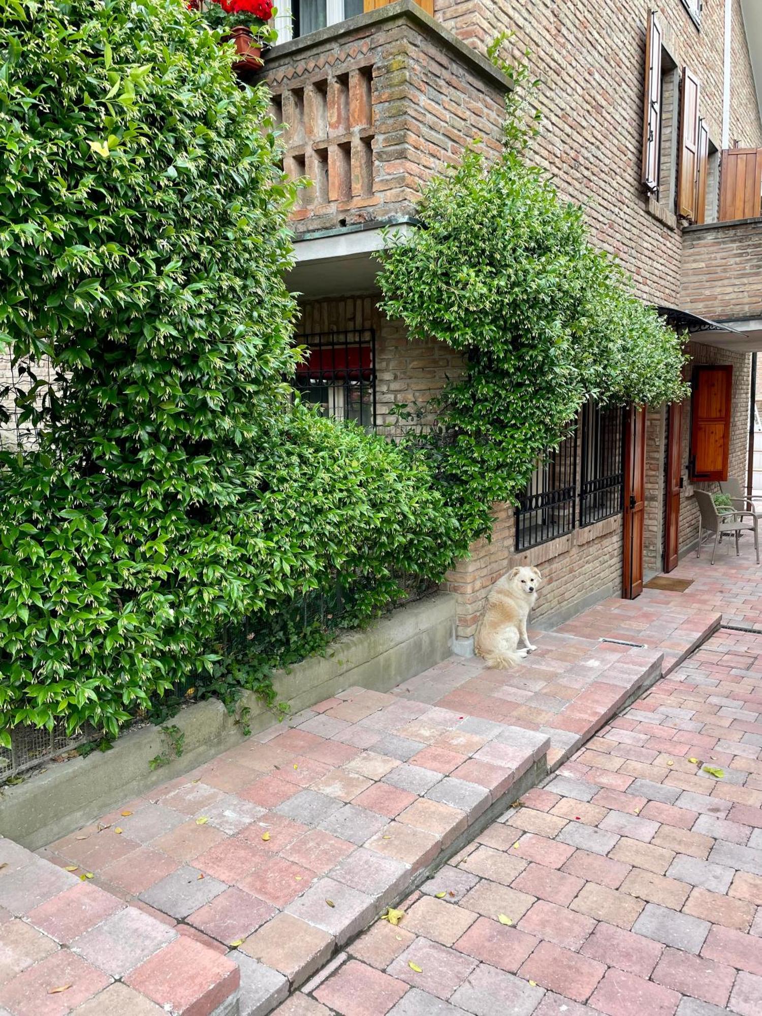 Apartamento Casa Matilde Piano Terra 100Mq Con Parking E Piscina Ferrara Exterior foto